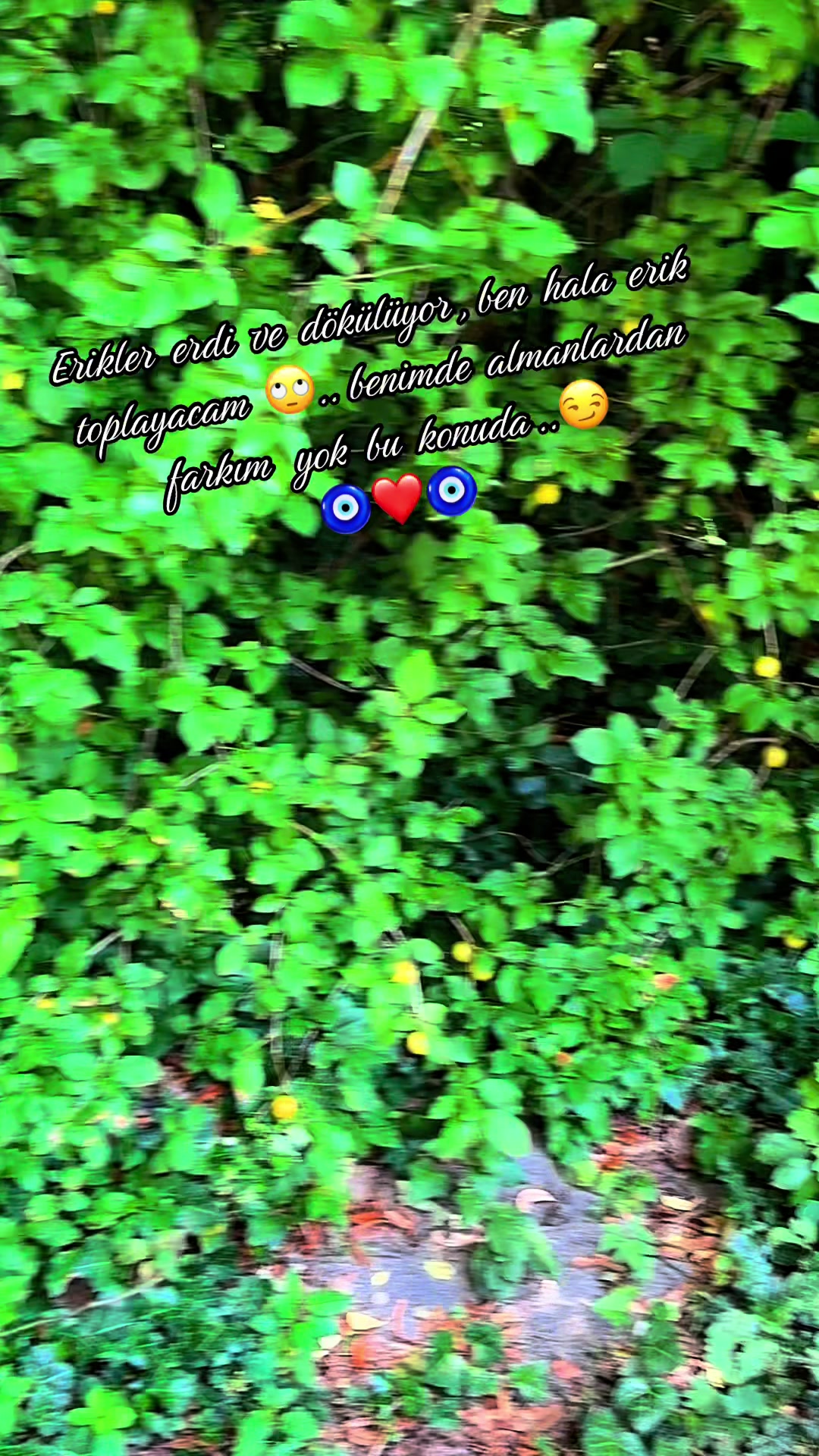 @🧿❤️Cennet-Gözlüm❤️🧿