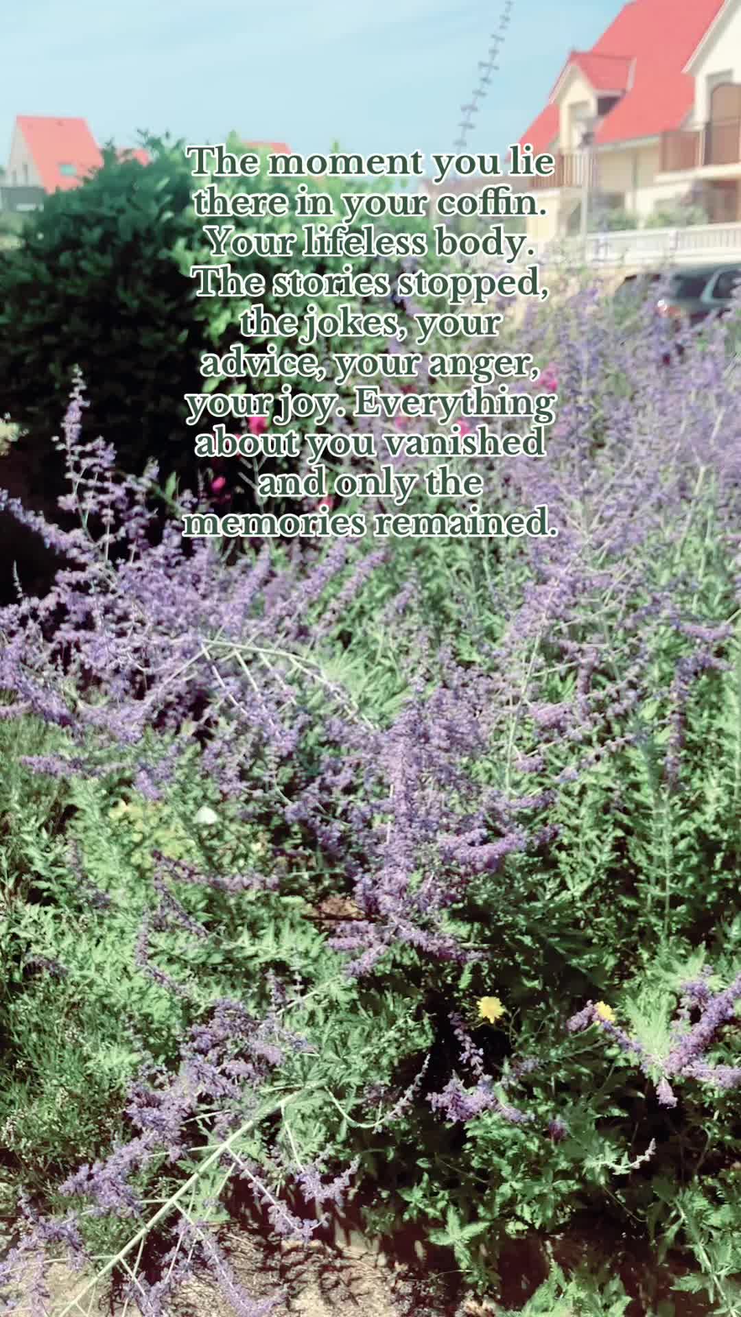 @Grief&Pain🦋💔🧝&zwj;♀️🪽