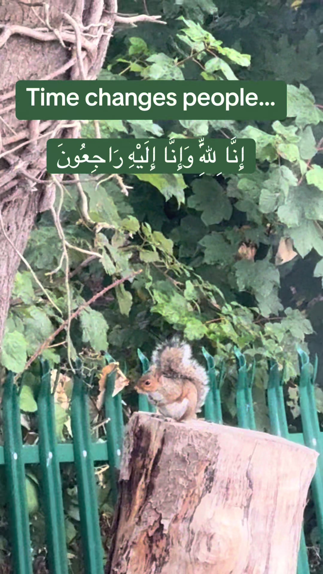 @maqrafiq
