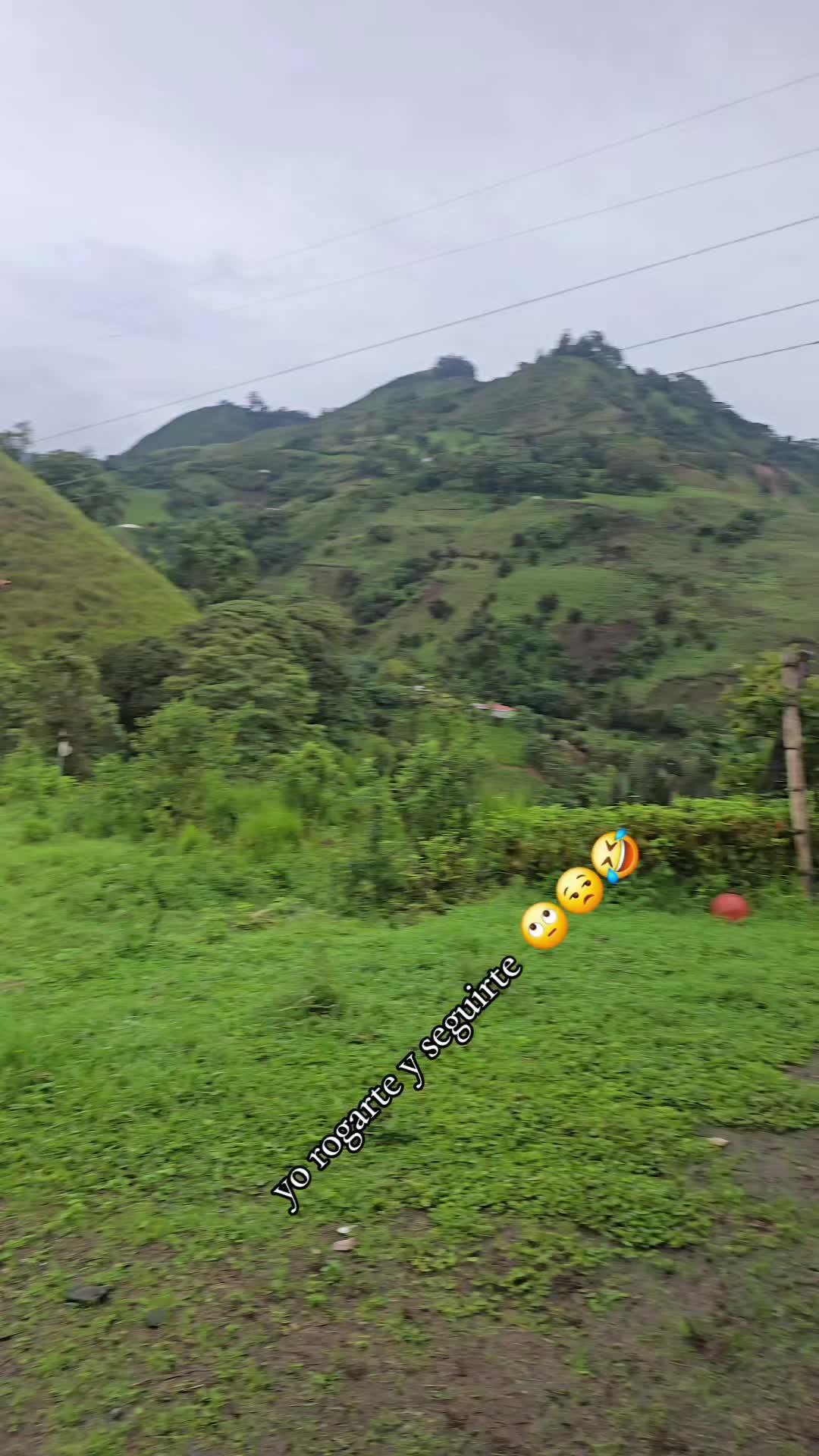 @🐓TU GALLO FINO 🐓