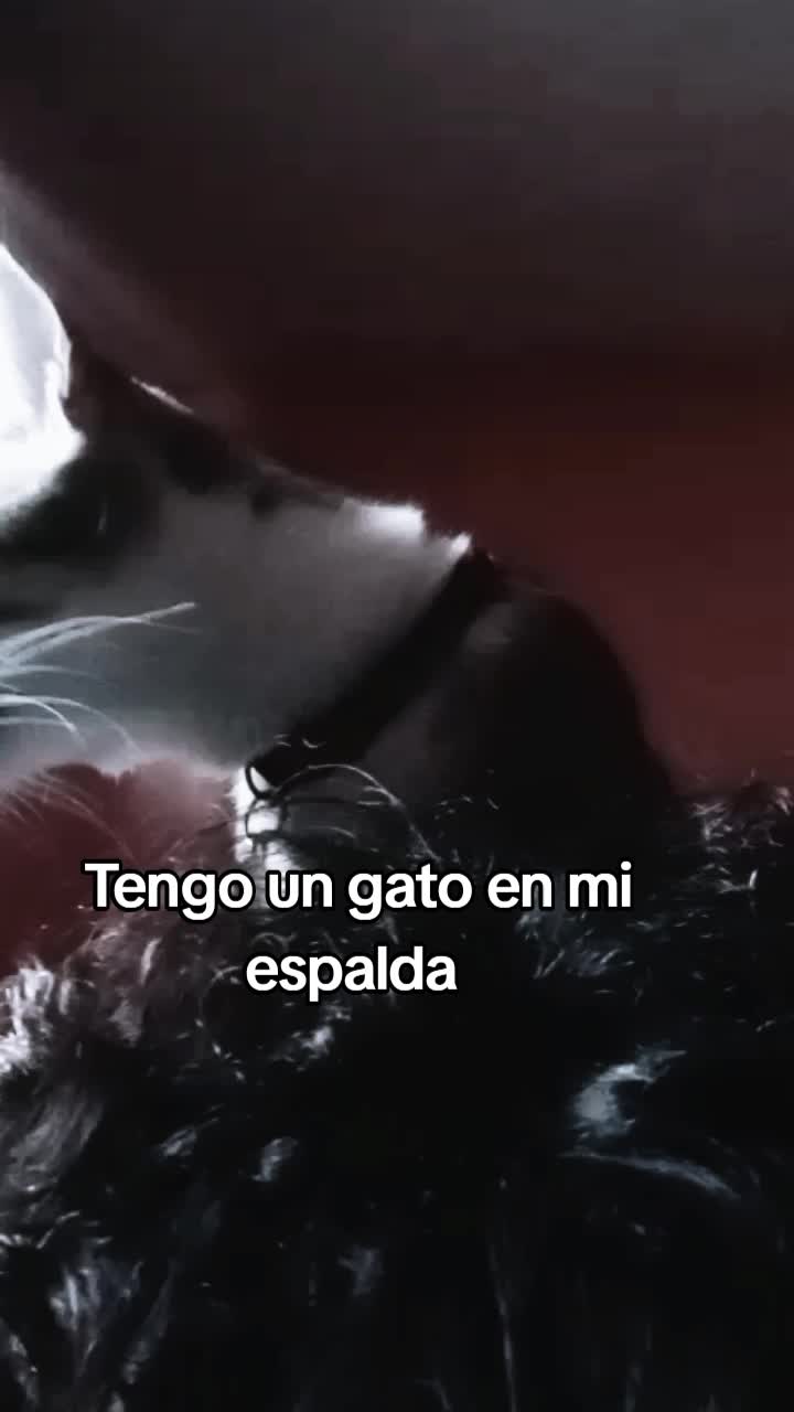 @_Alex._Mirror