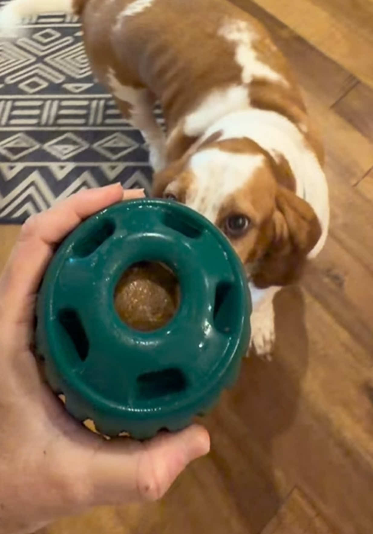 @TikTok Tena