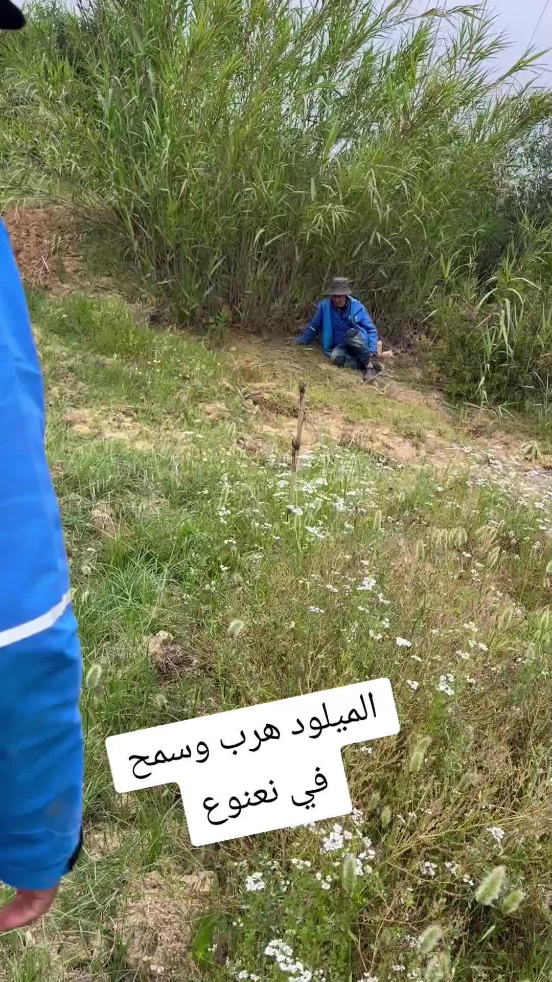 @الحاج نعنوع