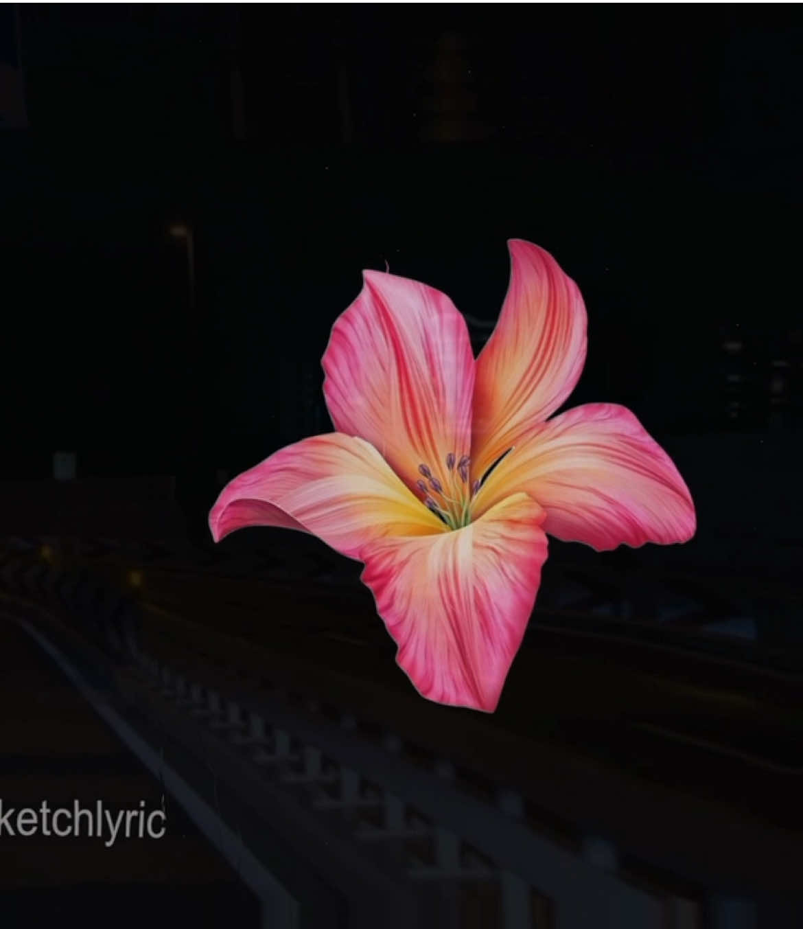 @sketchlyric🎧