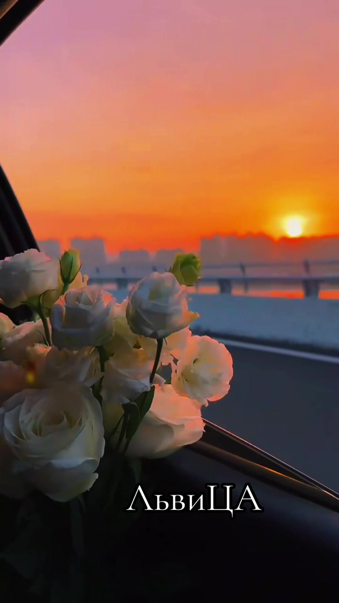 @ЛьВиЦа 💕АсЛан