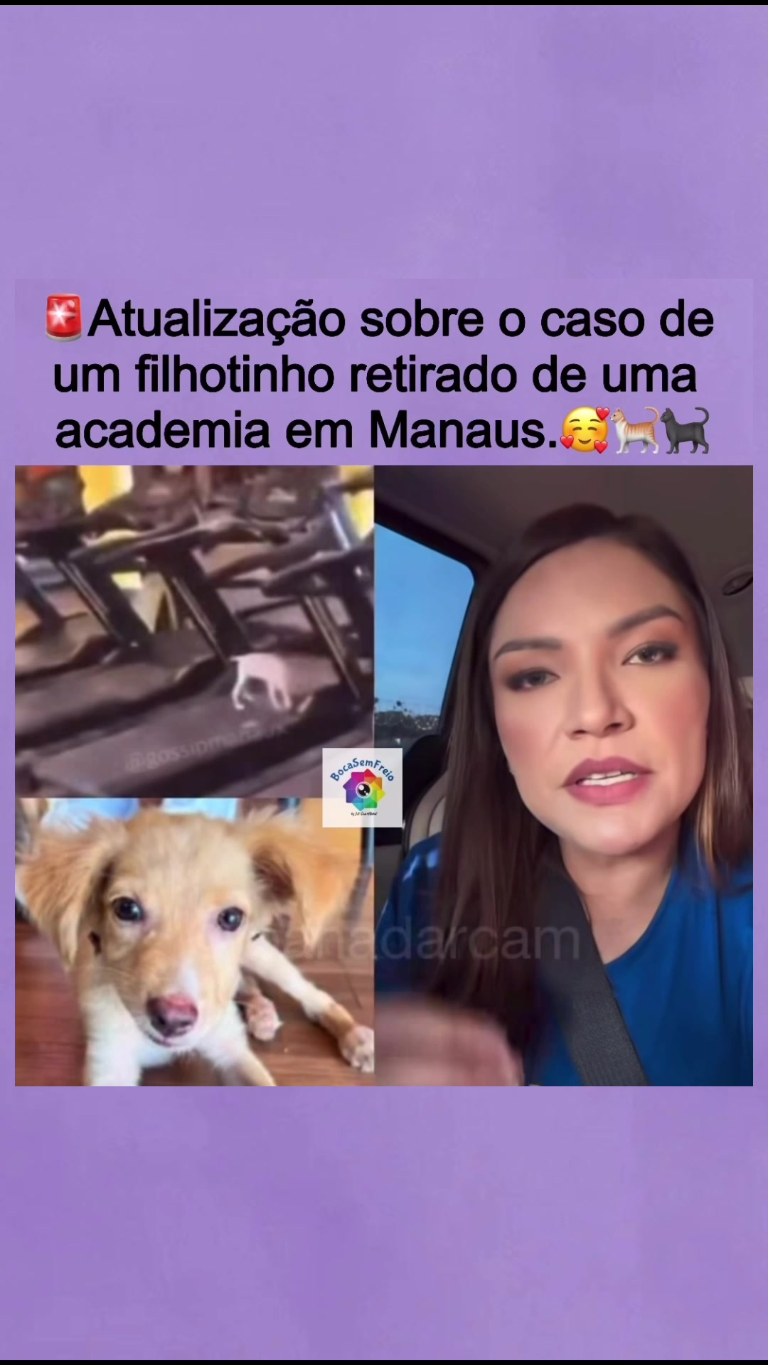 @@bocasemfreio