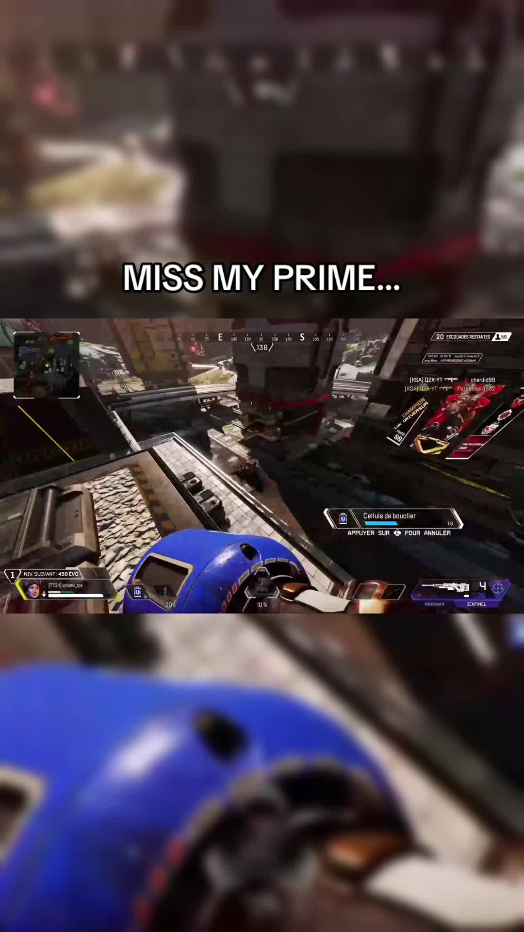 @qmamd_fps