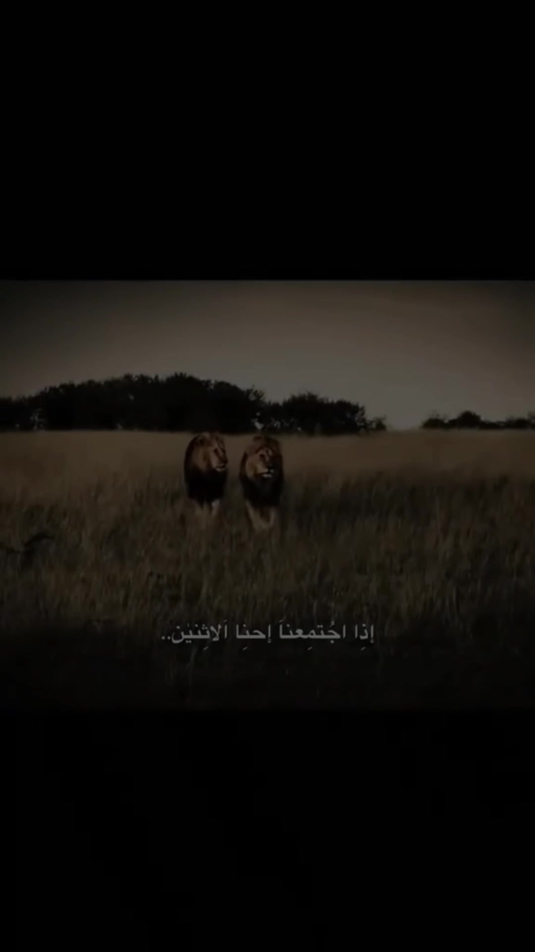 @المصمم | 𝐇𝐀𝐒𝐀𝐀𝐍