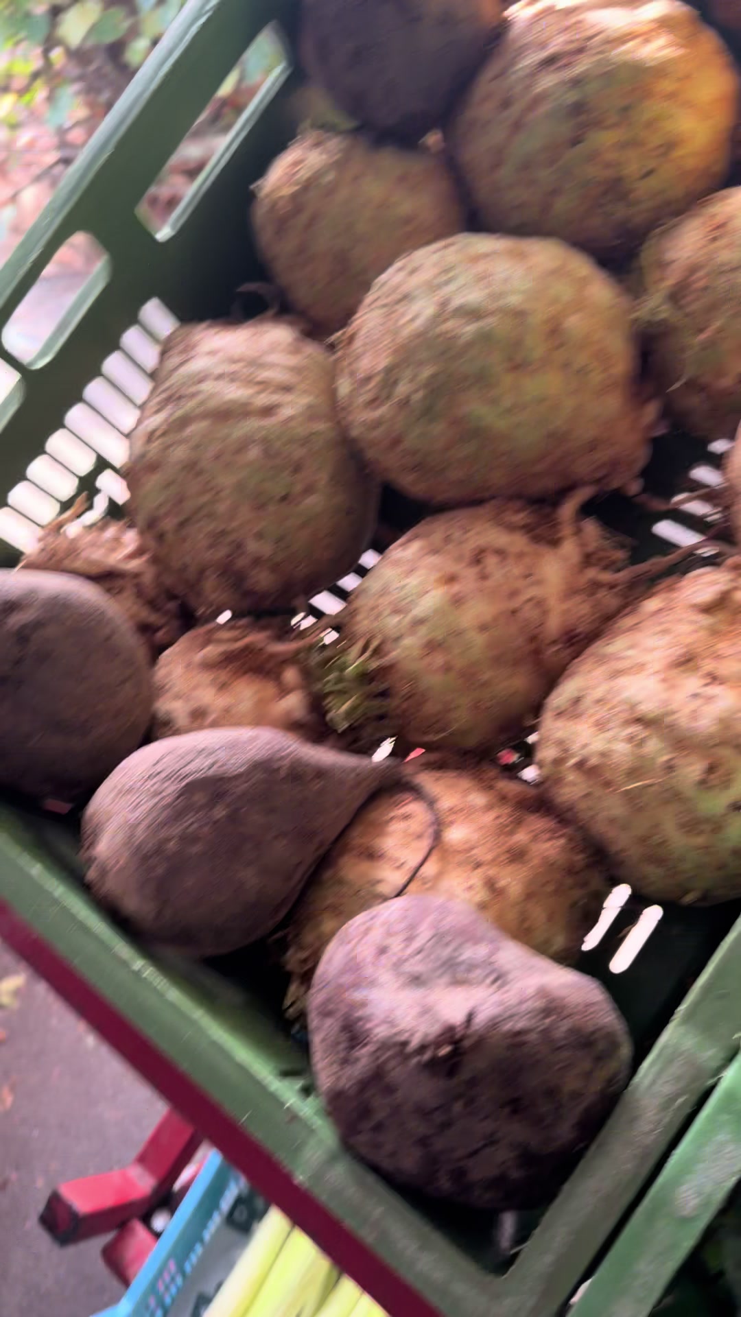 @Osmanli Market