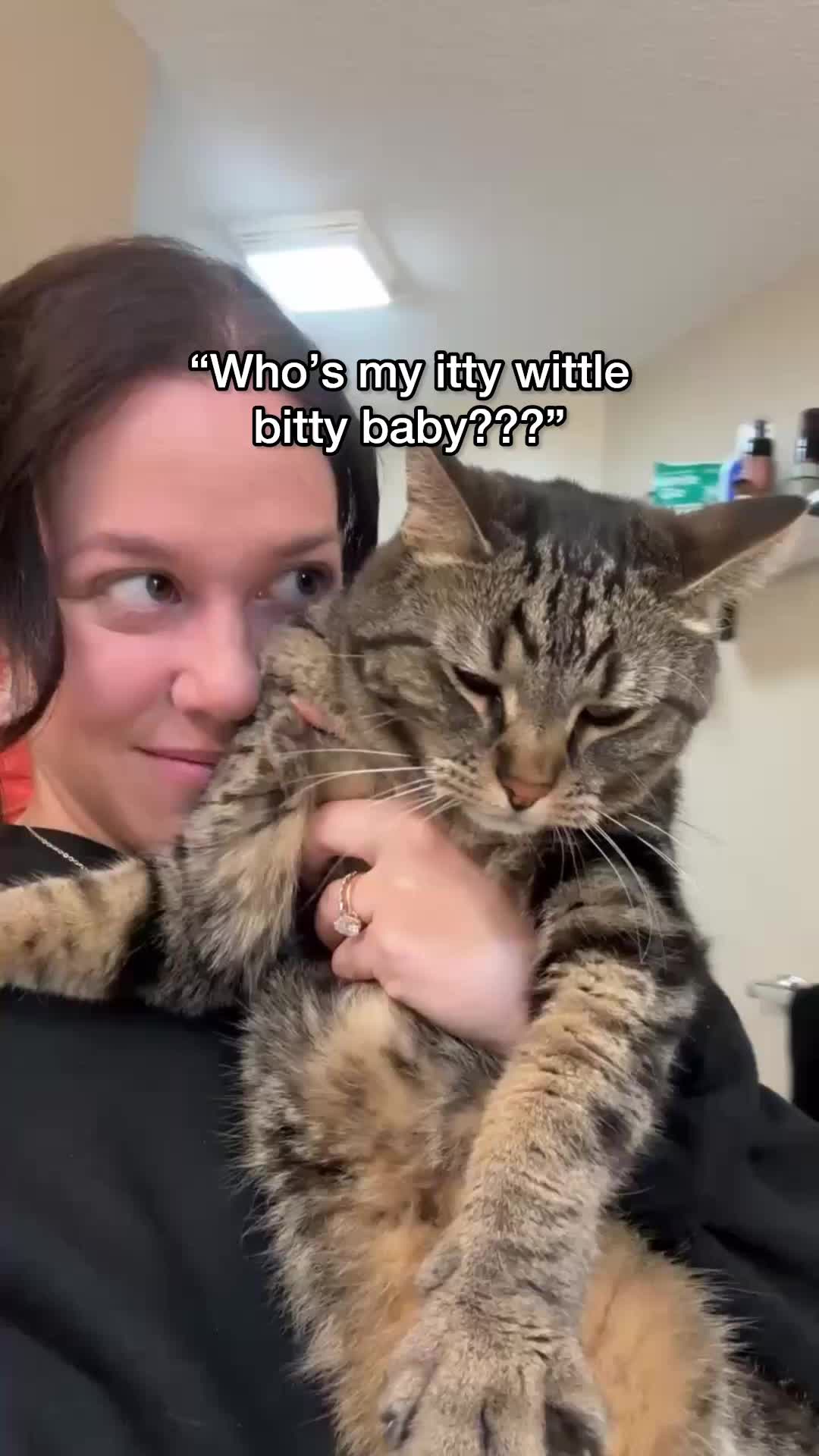 @Chip The Manx