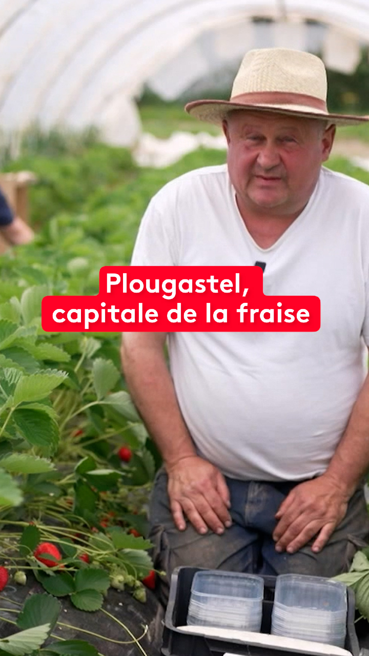 @le20hfrancetelevisions