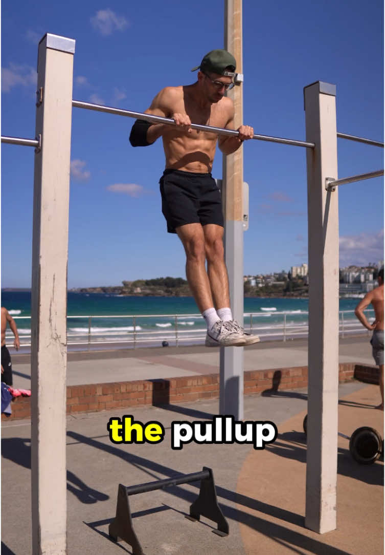 @Matt Noël l Calisthenics Coach
