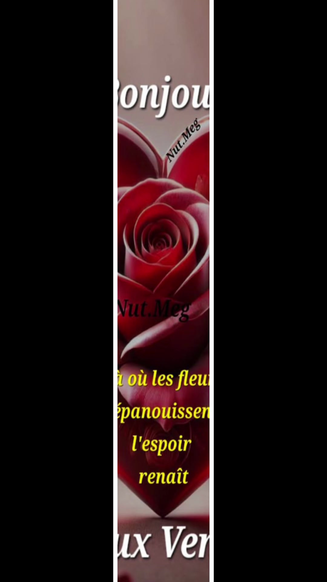 @Yenin Coulibaly650