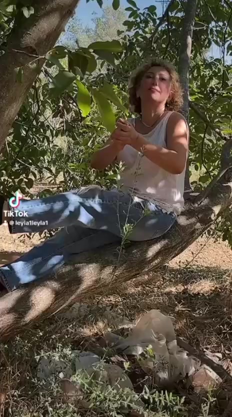 @bursa bülbülü