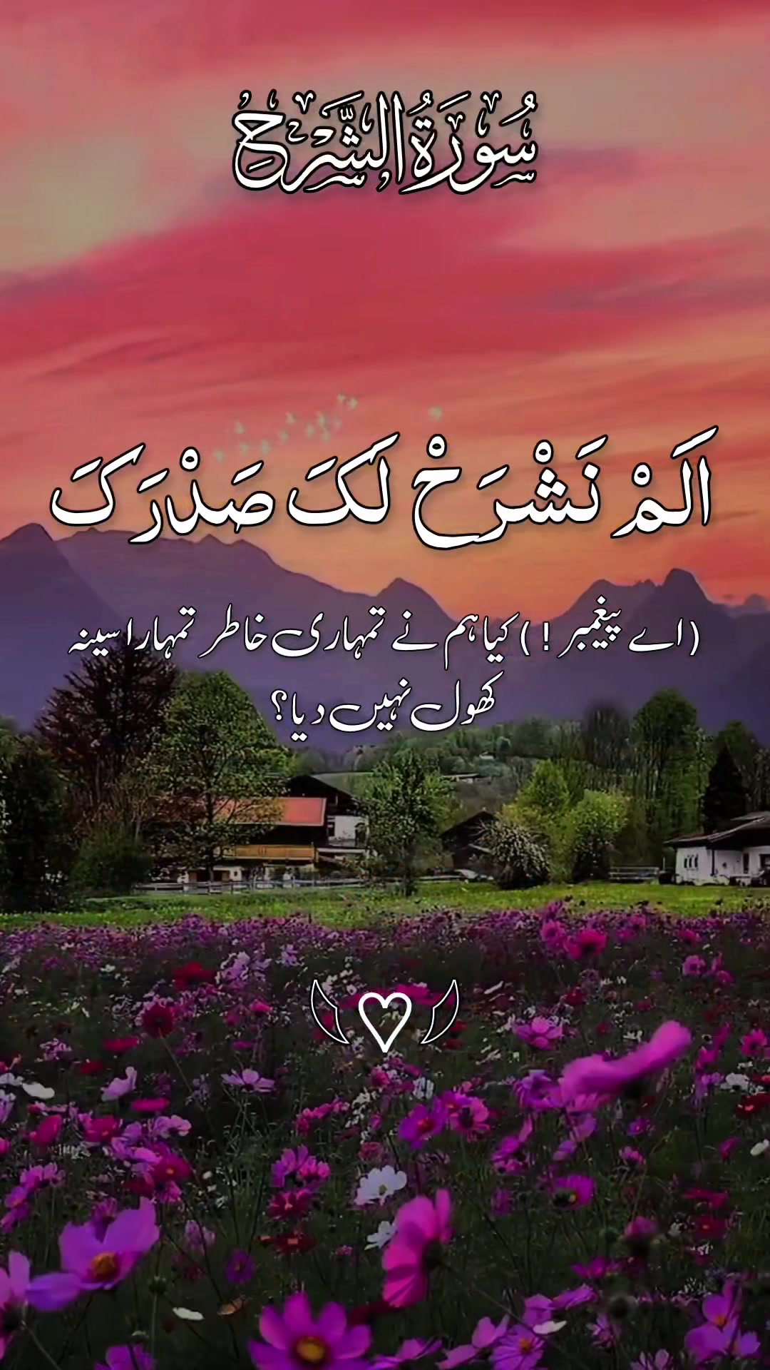 @❣️ Words of Allah ❣️