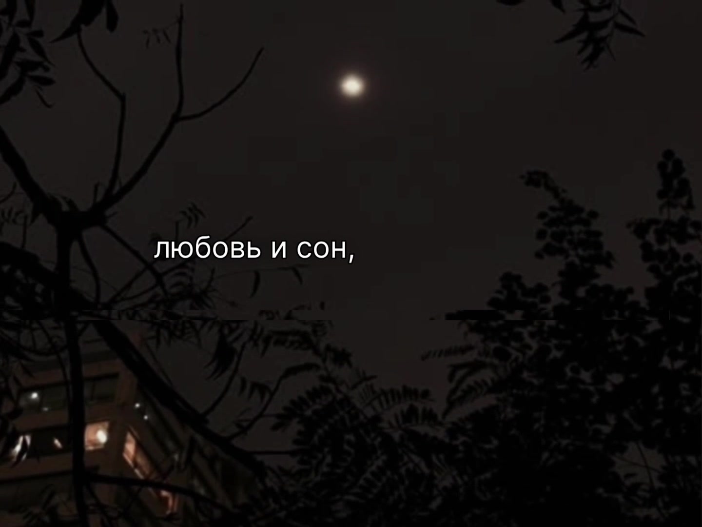 @SonicVibe/Music