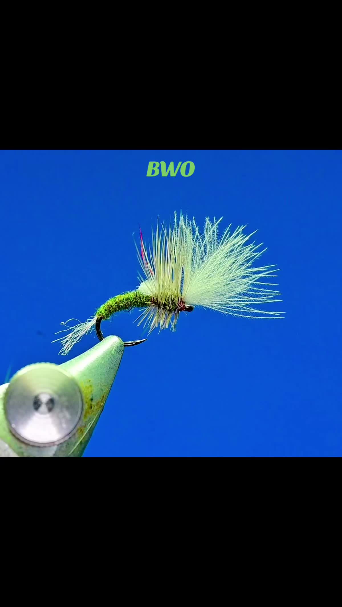 @redwhiteblueflies