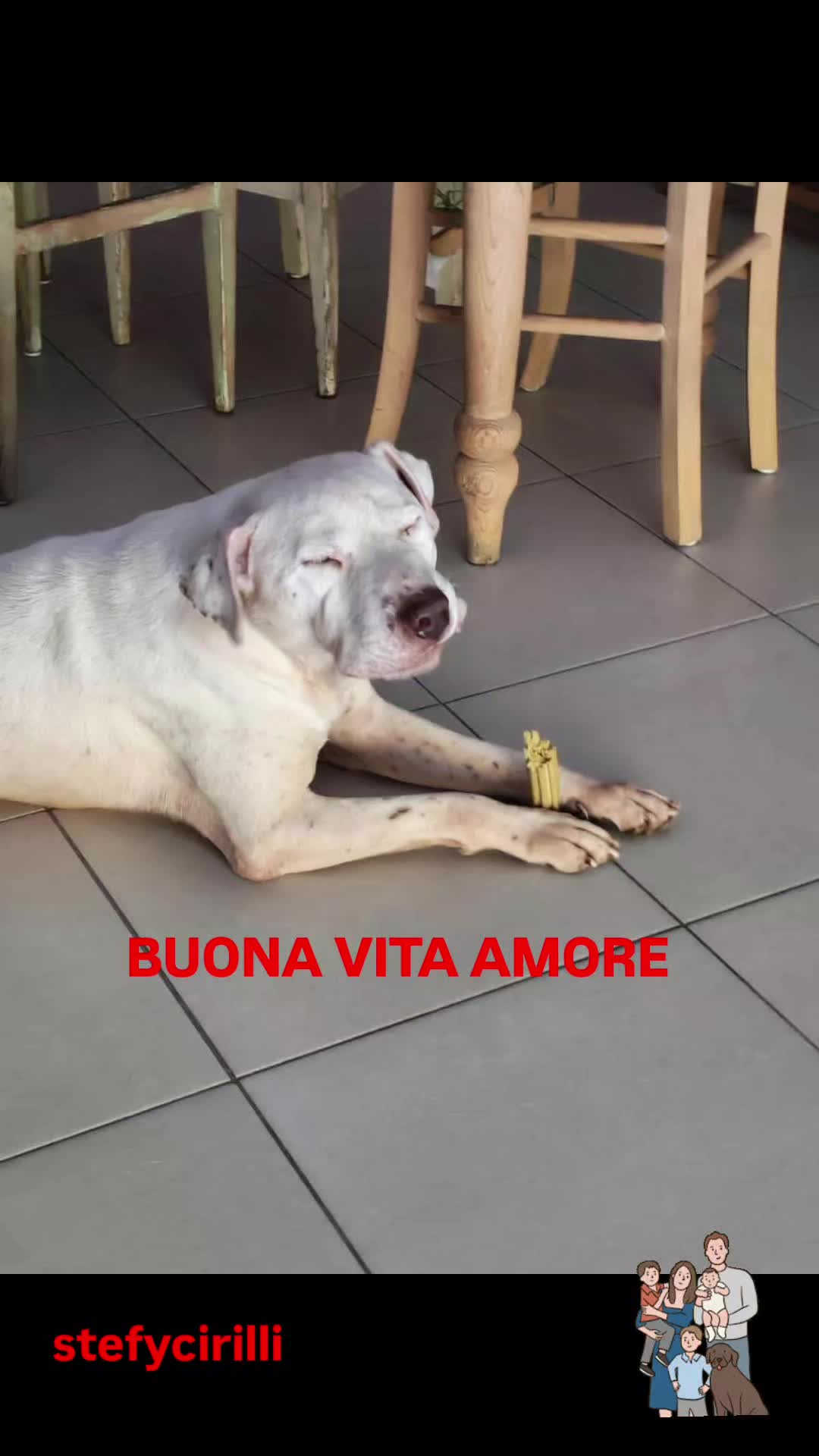 @Stefy Cirilli