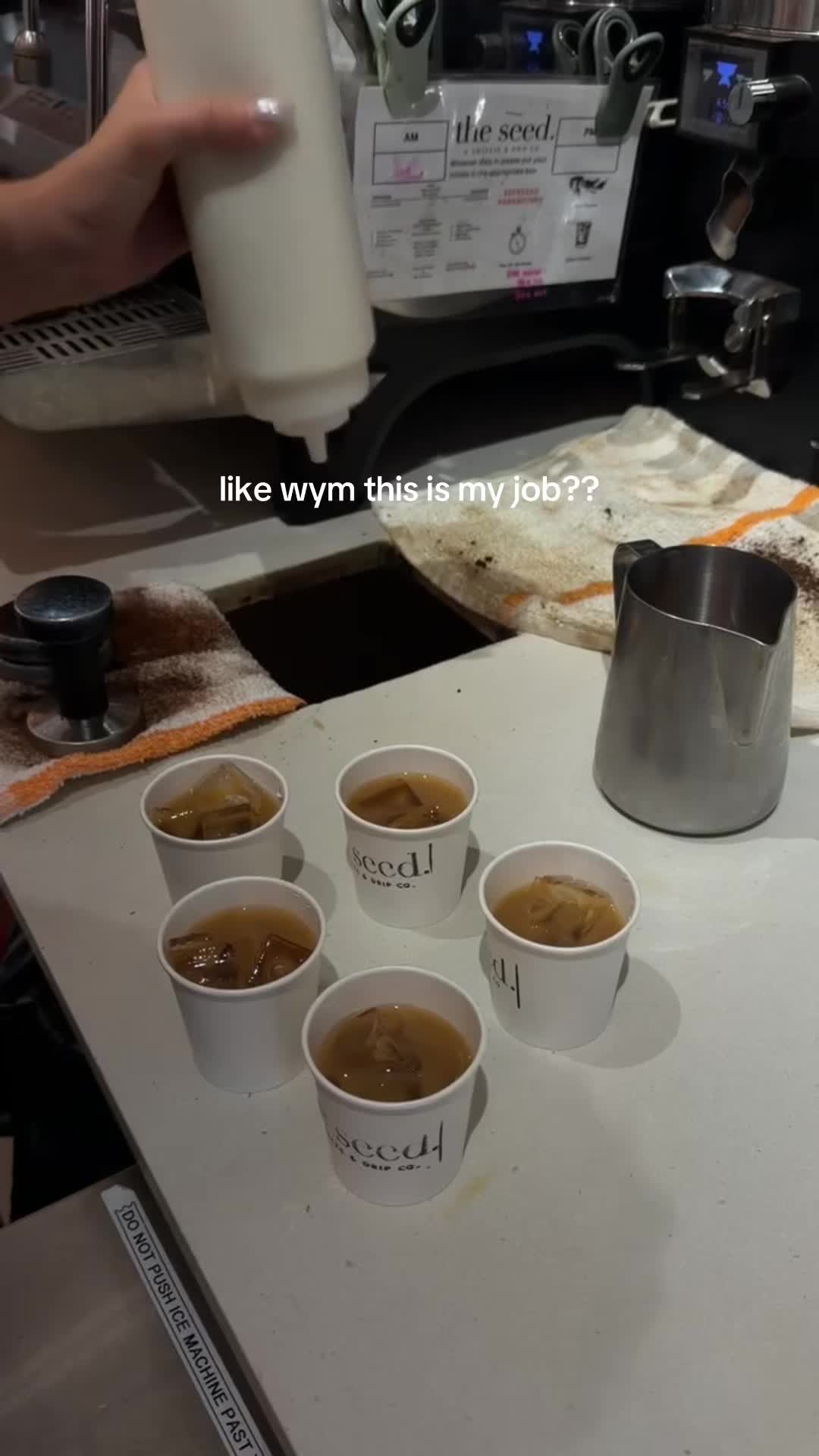 @Lili Paul