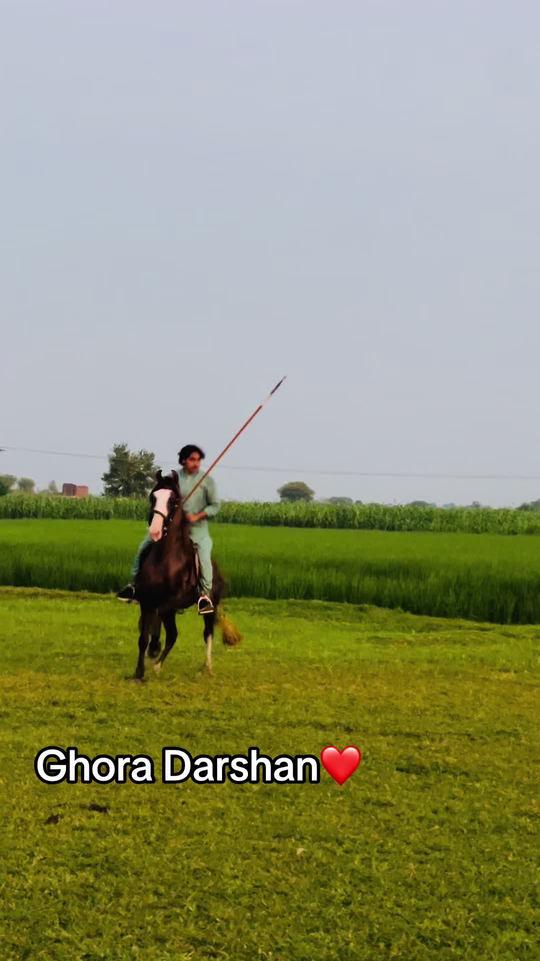 @Gujjarkingclub Chakora