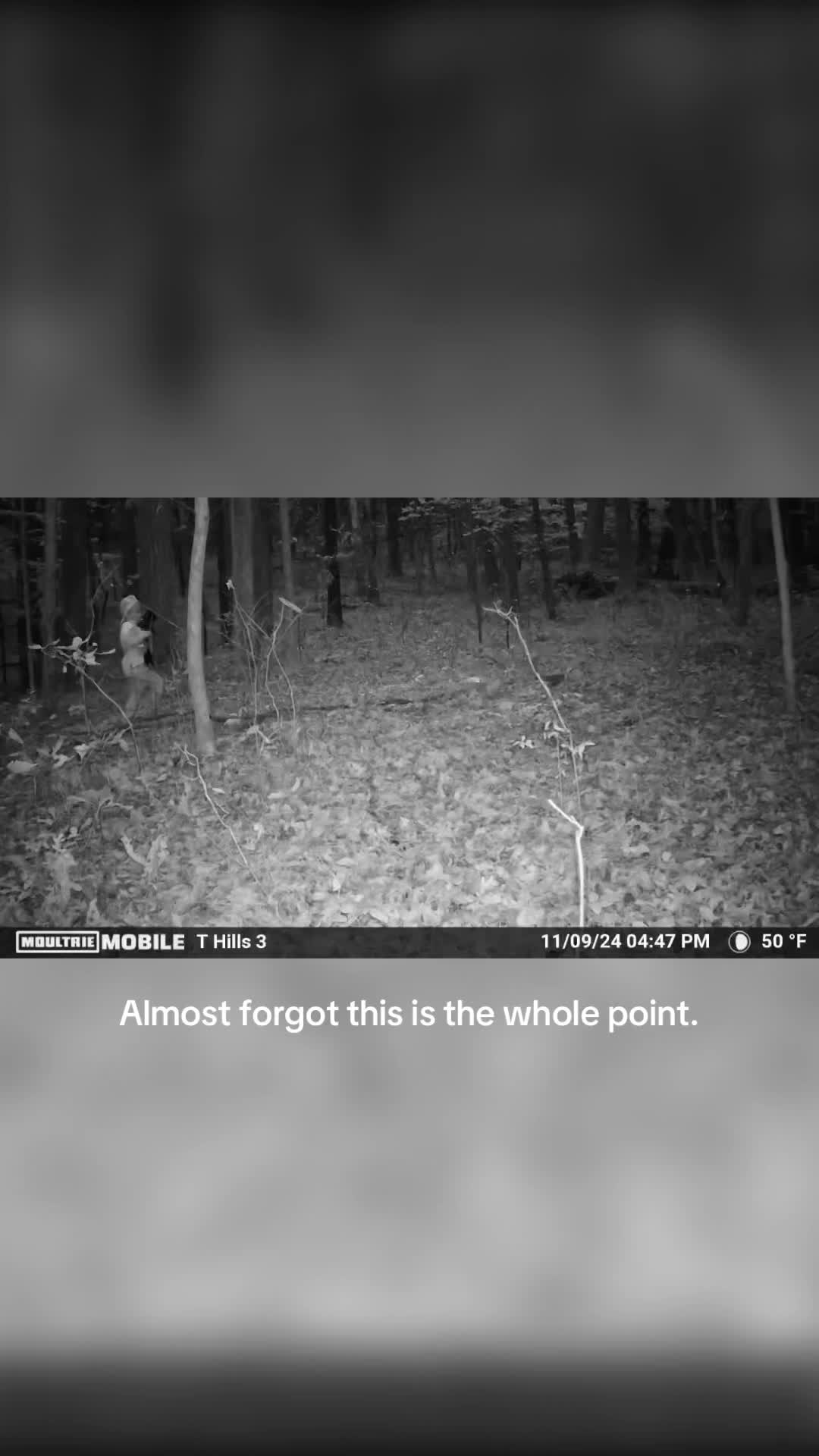 @Moultrie