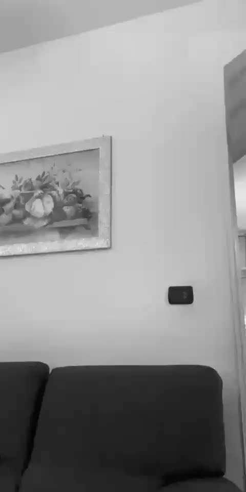 @Francafusaro05