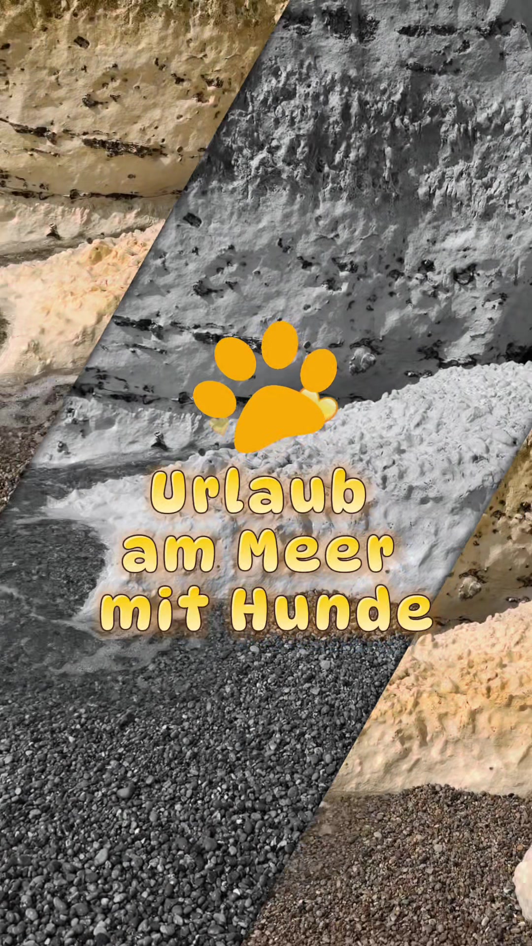 @Olesia &bull; Hundezentrum Lapki