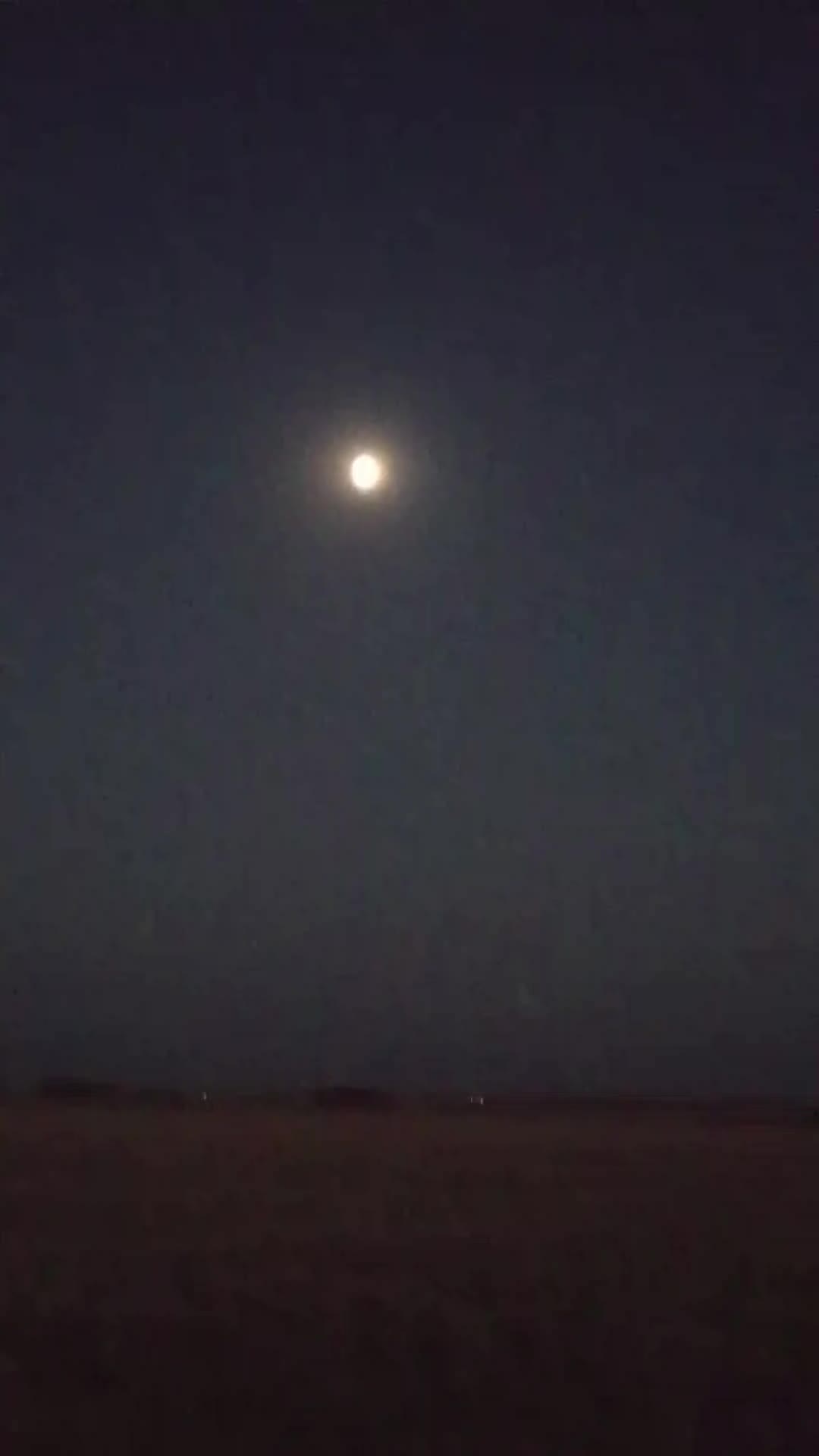 @علي الخالد
