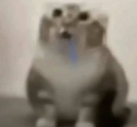 @˃̣̣̣̣̣̣︿˂̣̣̣̣̣̣