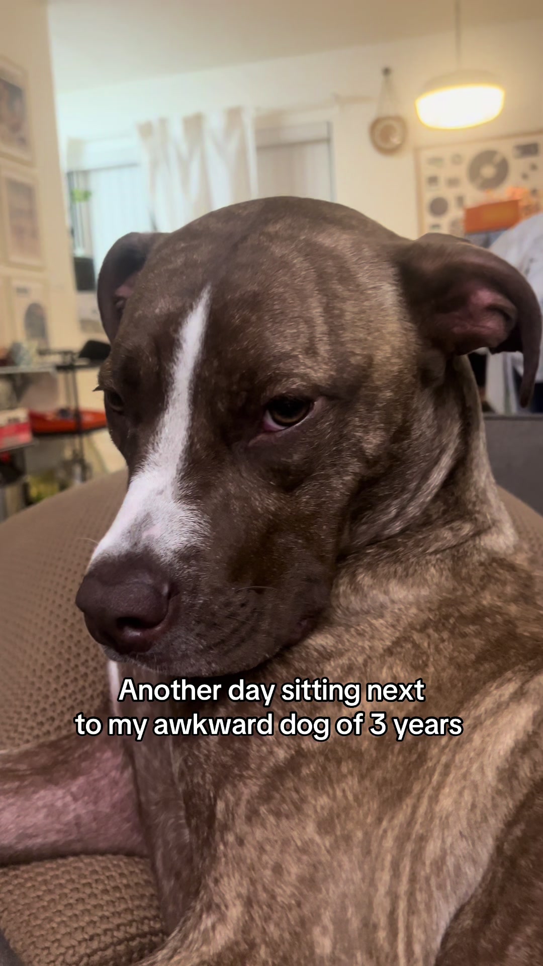 @Lilypad