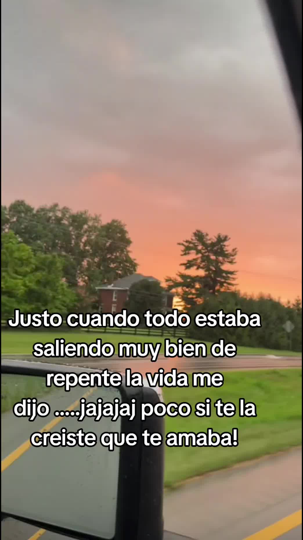 @Isabel Landa