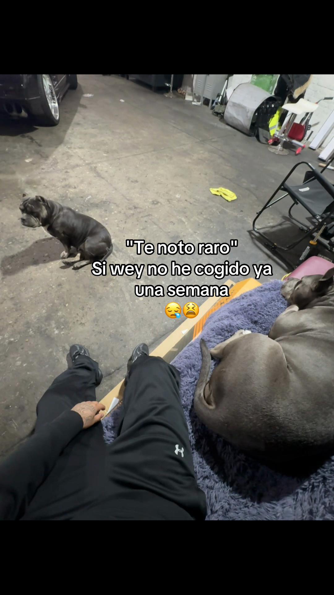 @Ålezix