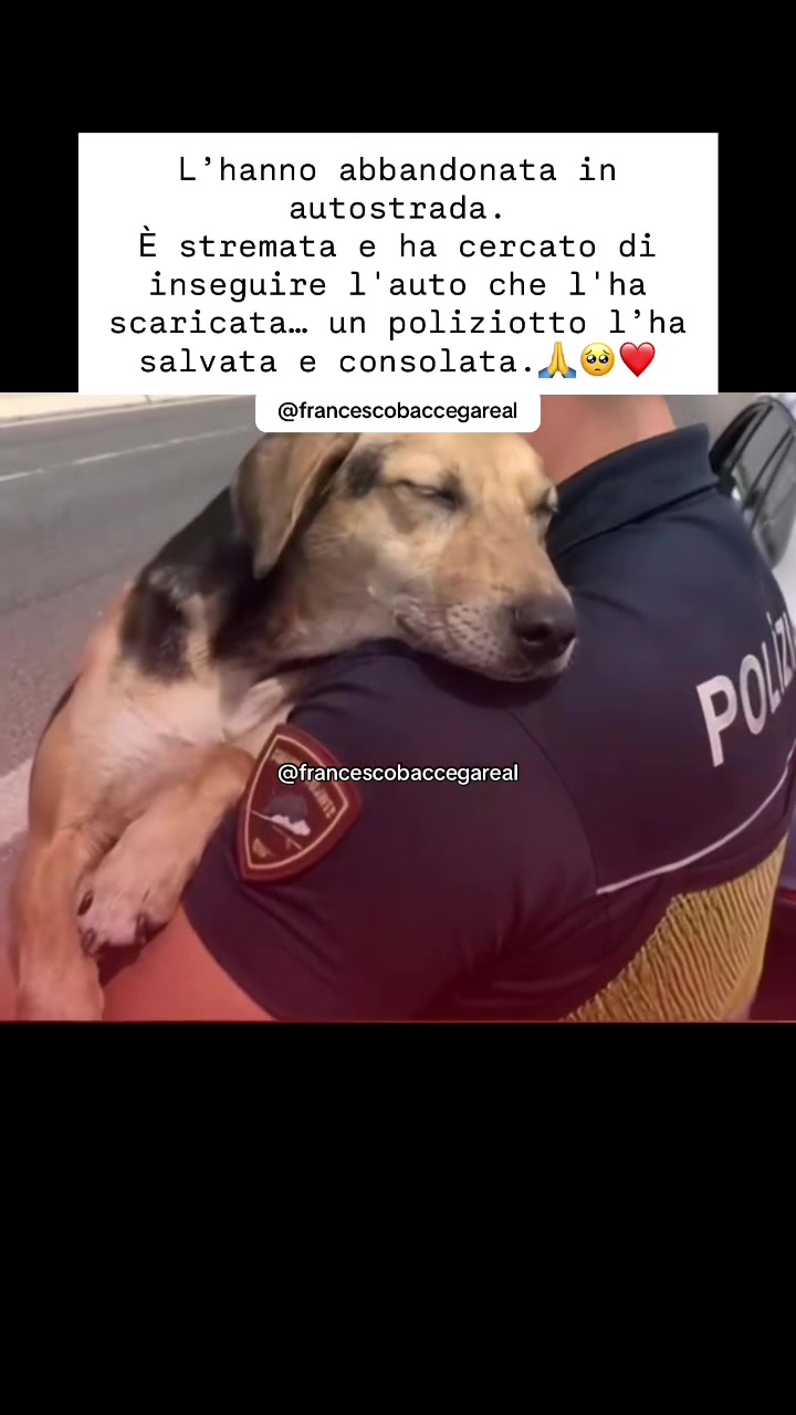 @francescobaccegareal