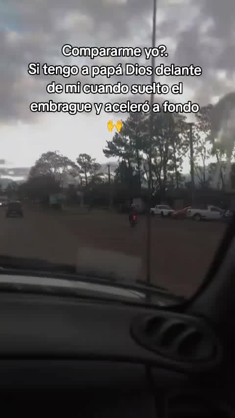 @Daniela Pogliani