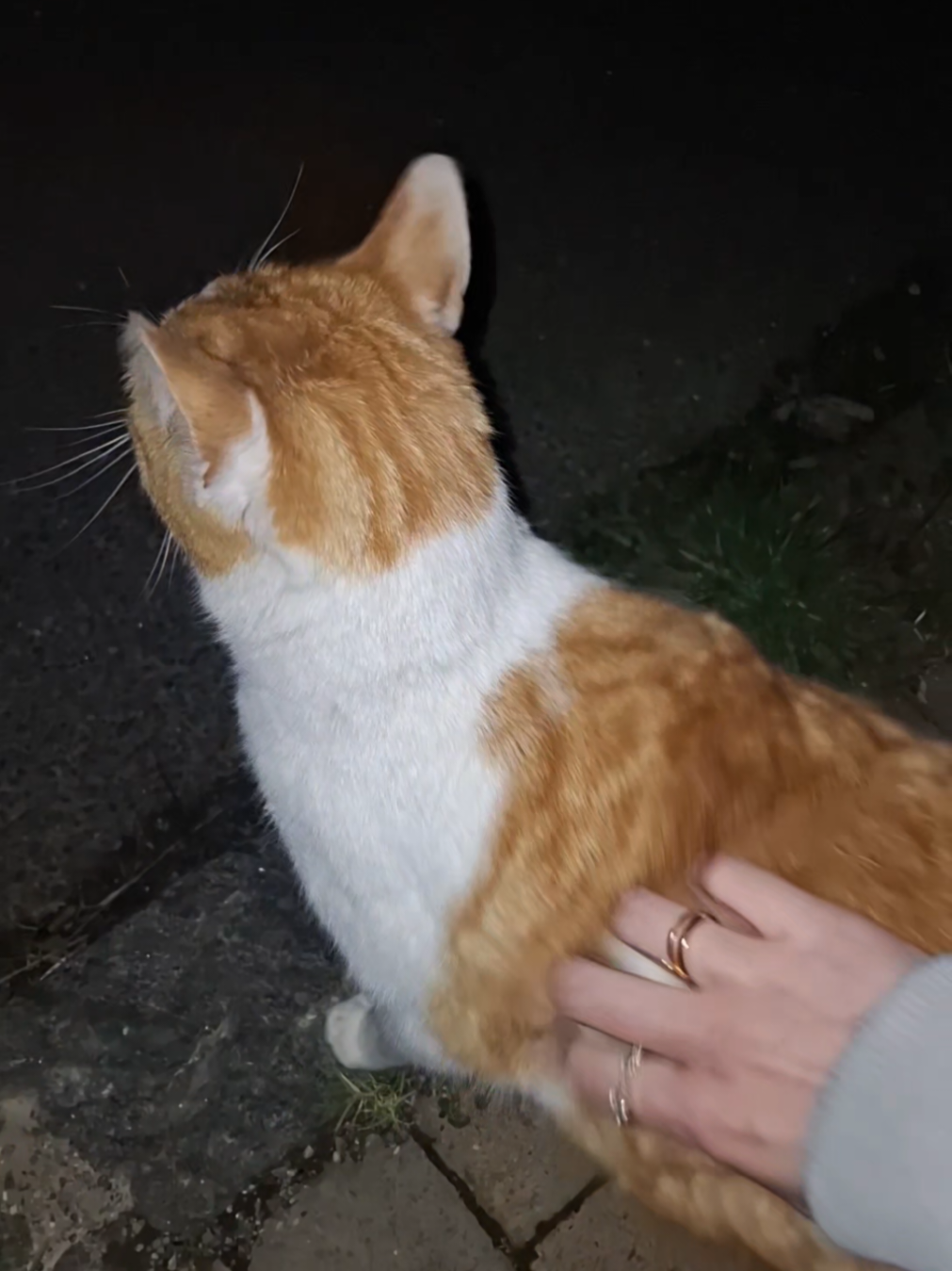 @linaaa