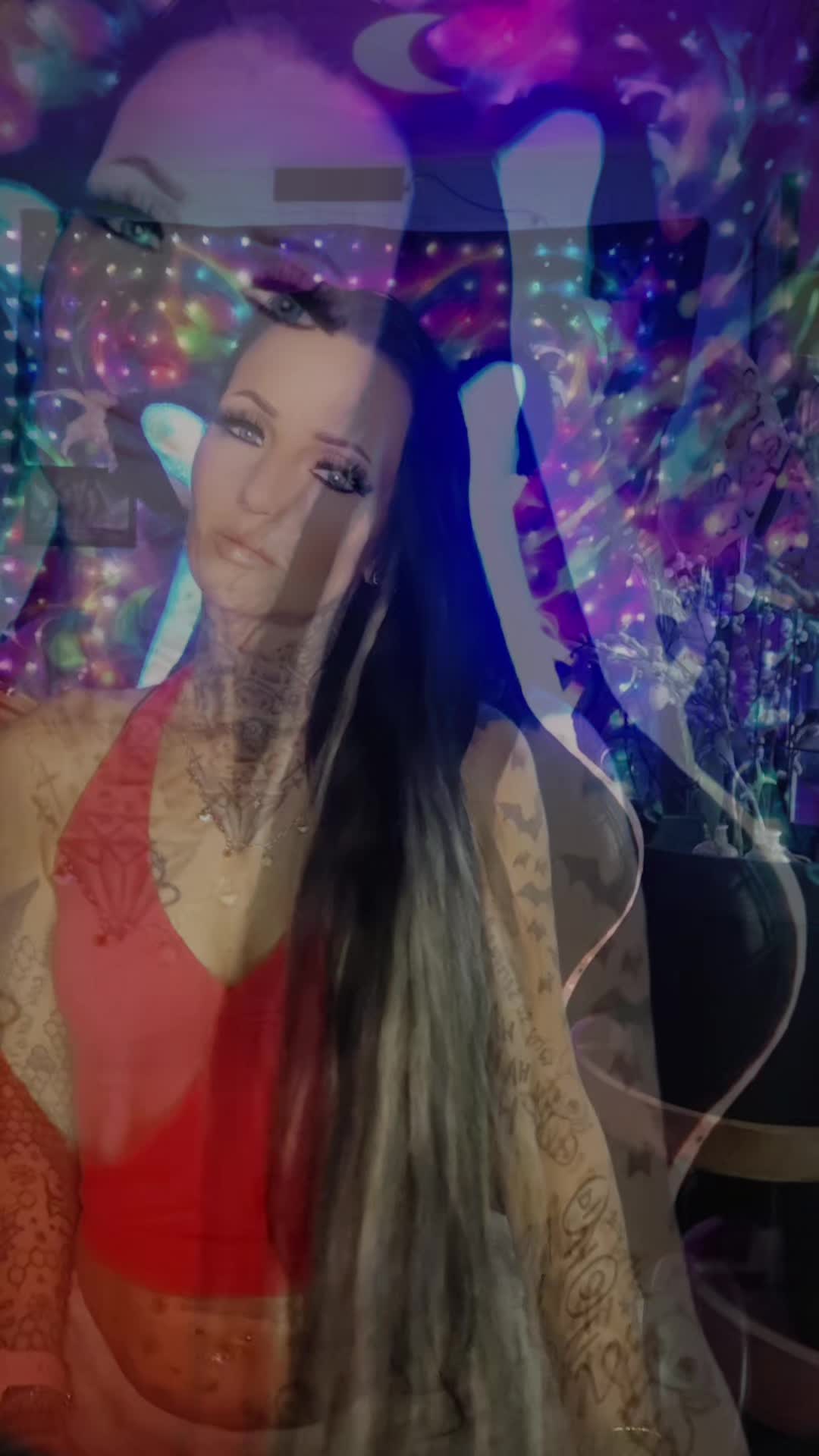 @šā¬š¼šš¦š šš the Catš¼šā¬