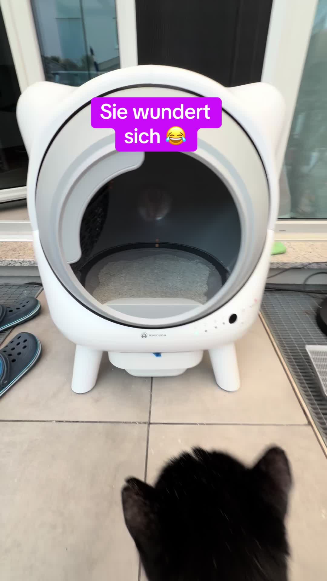 @Braunici