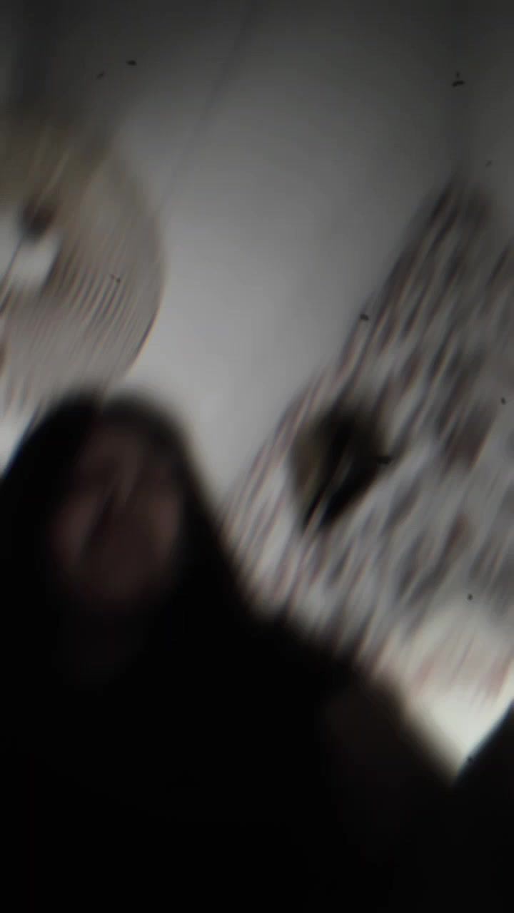 @Genesislol