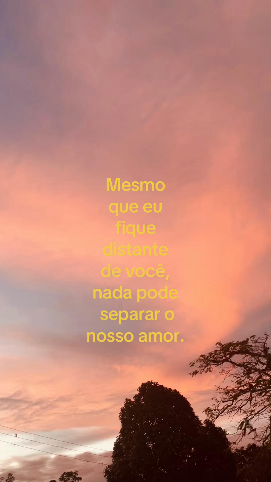 @_n3ssinha💋