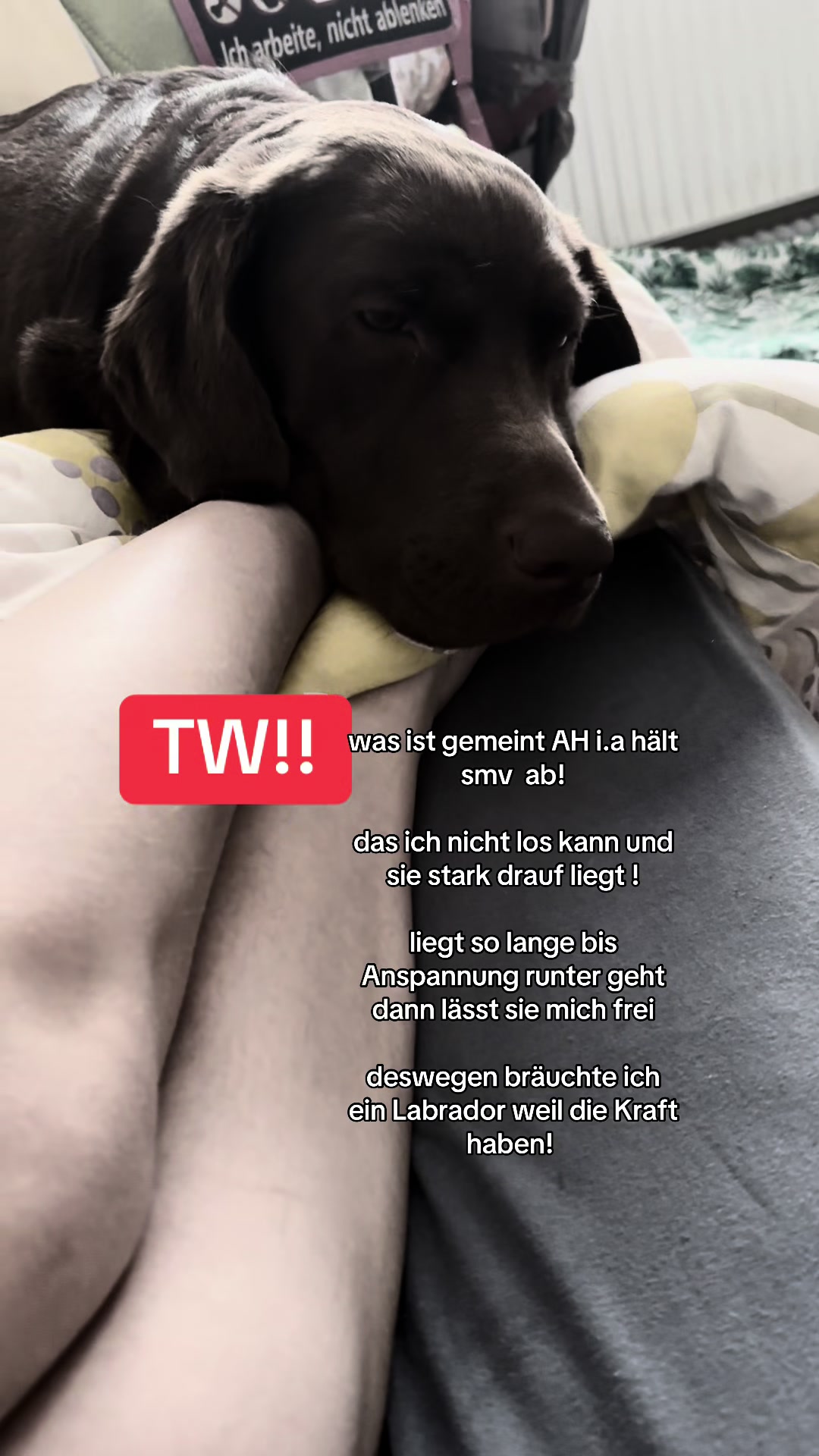 @teamlidialissy