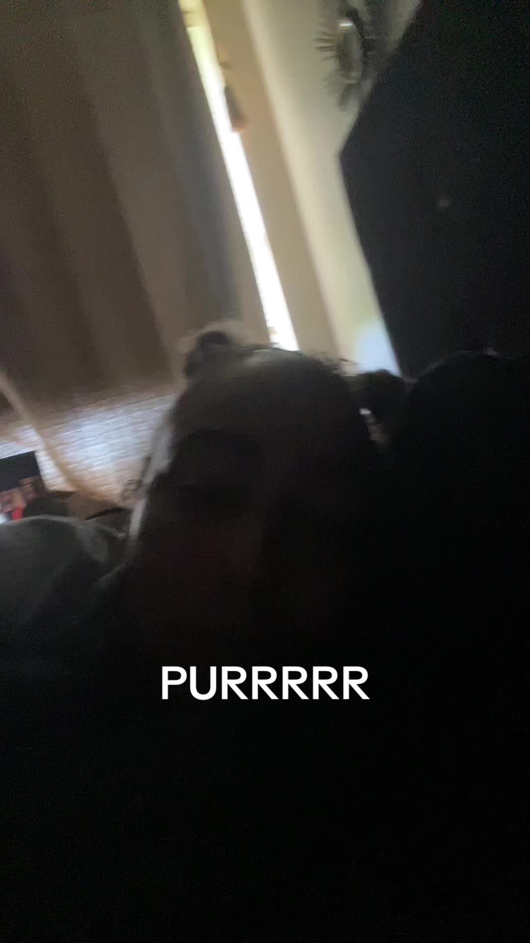 @NUNU2BOMB