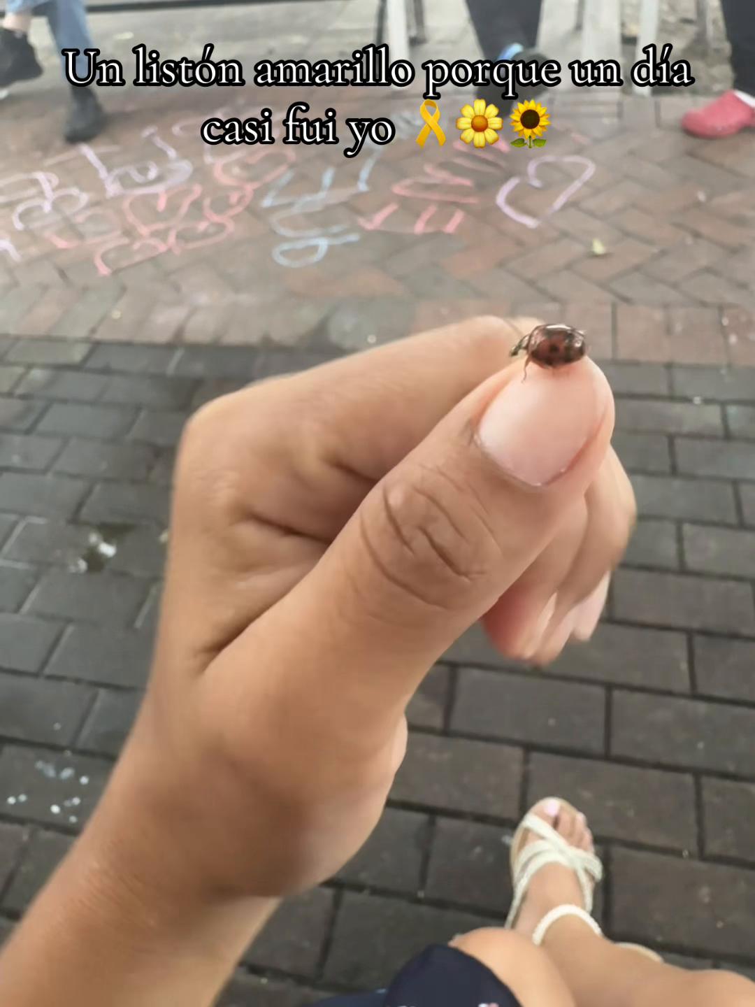 @Teffipriss
