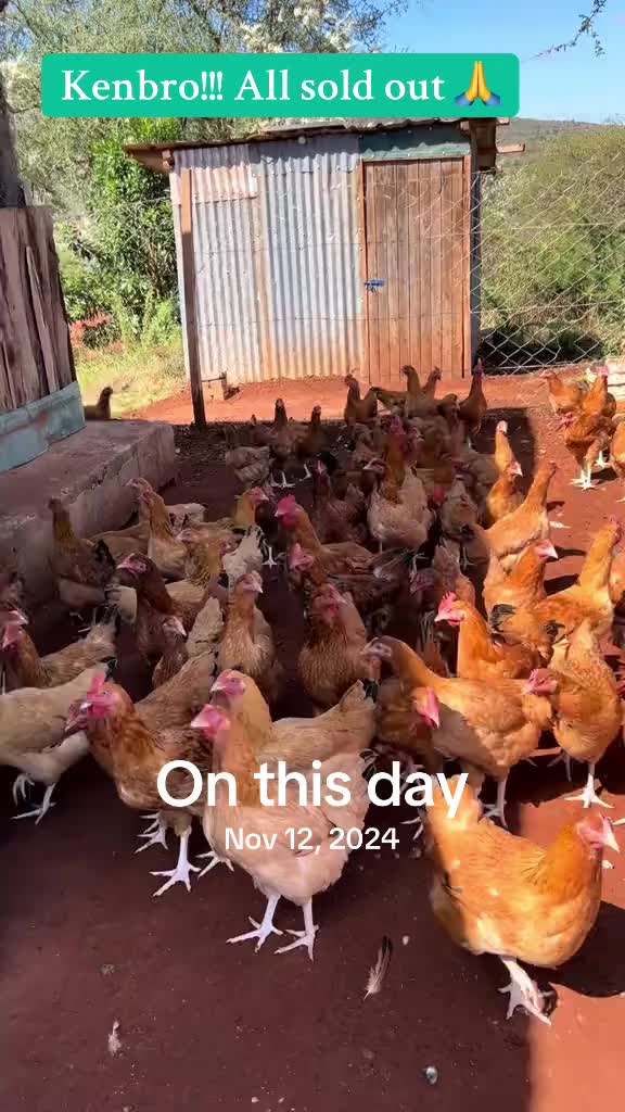 @kimasmartfarmsltd