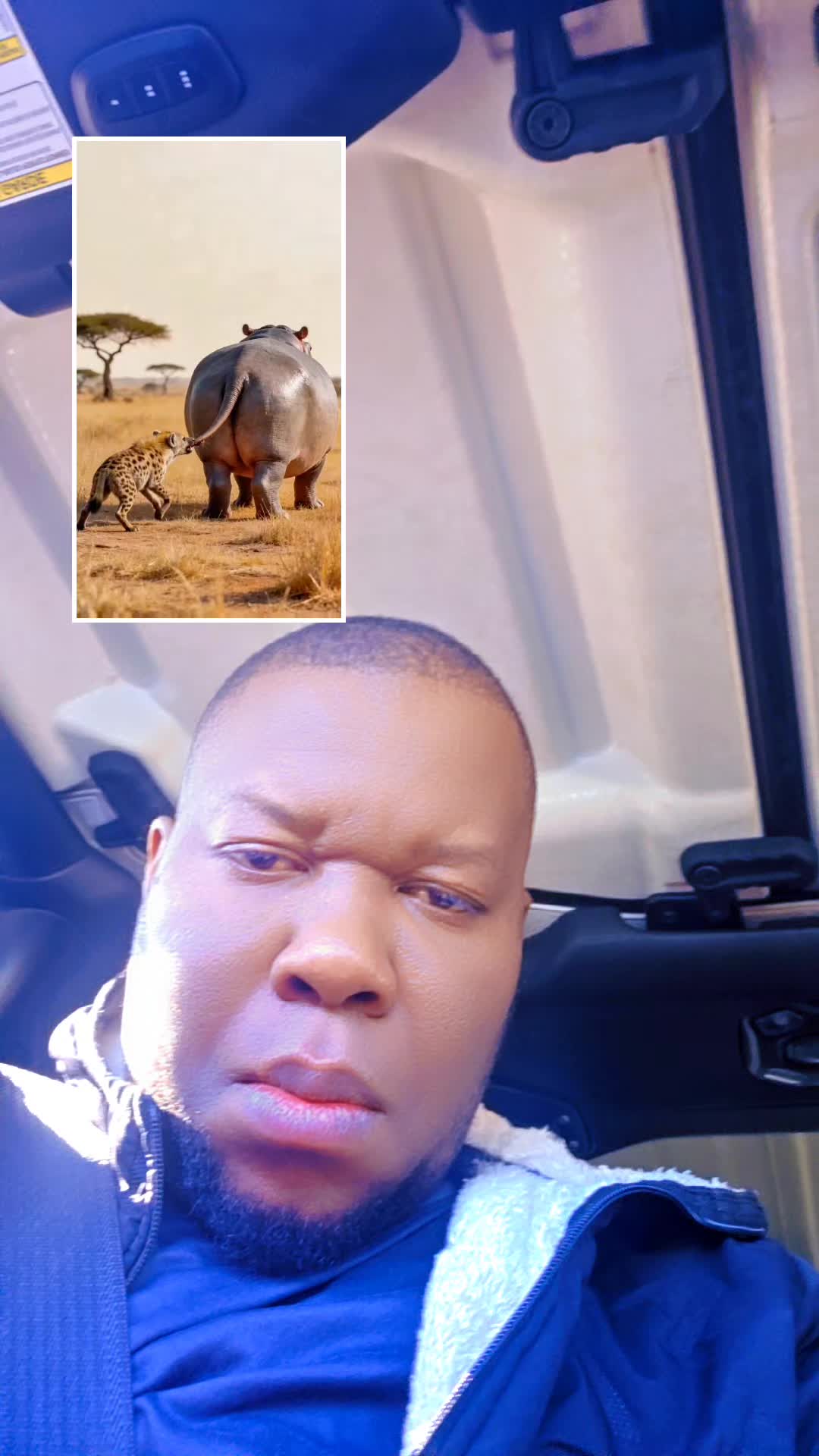 @Dodo
