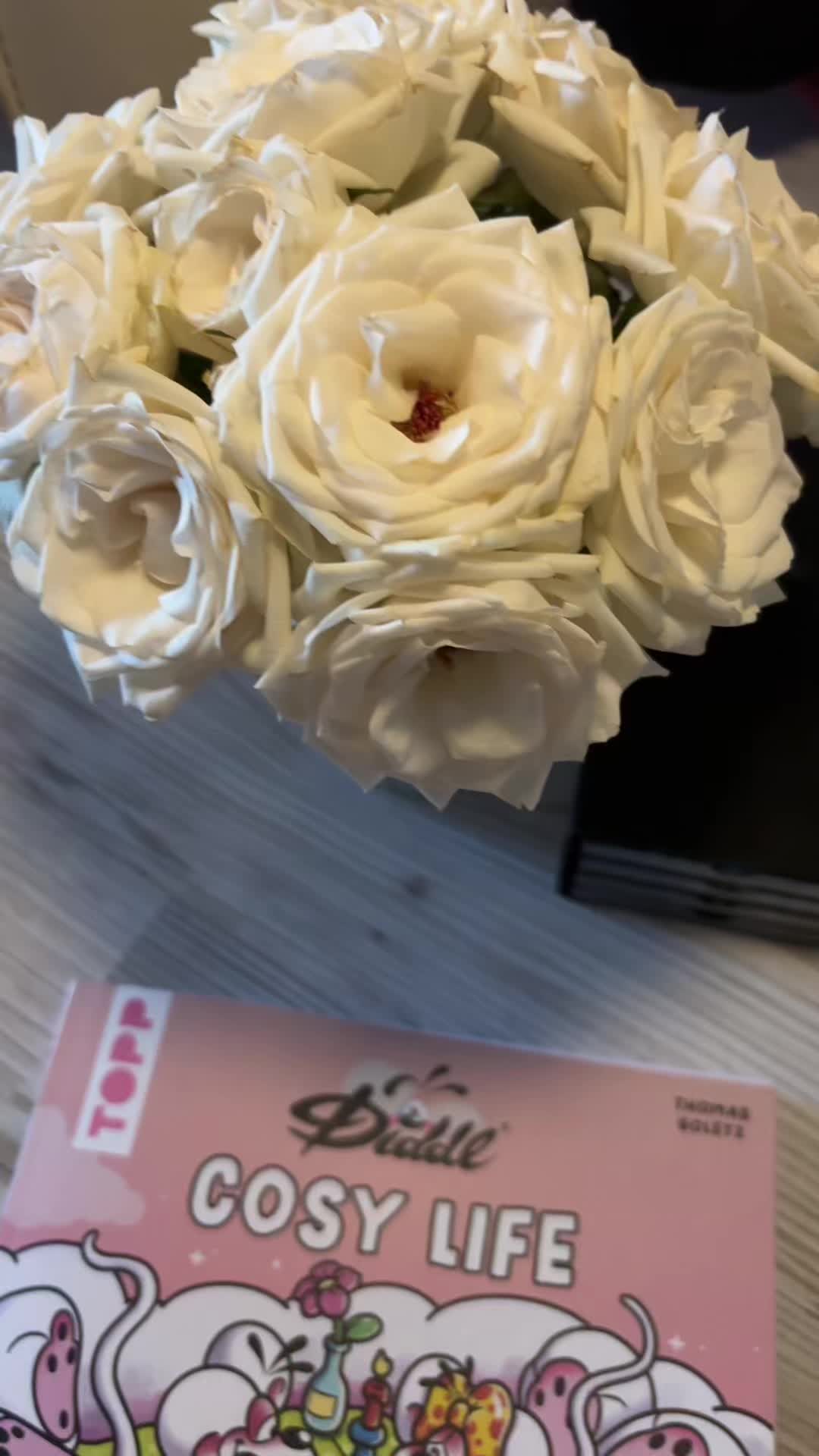 @kimi