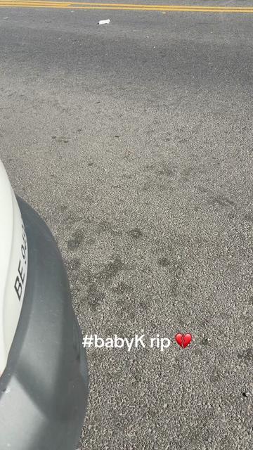@kingpaper79