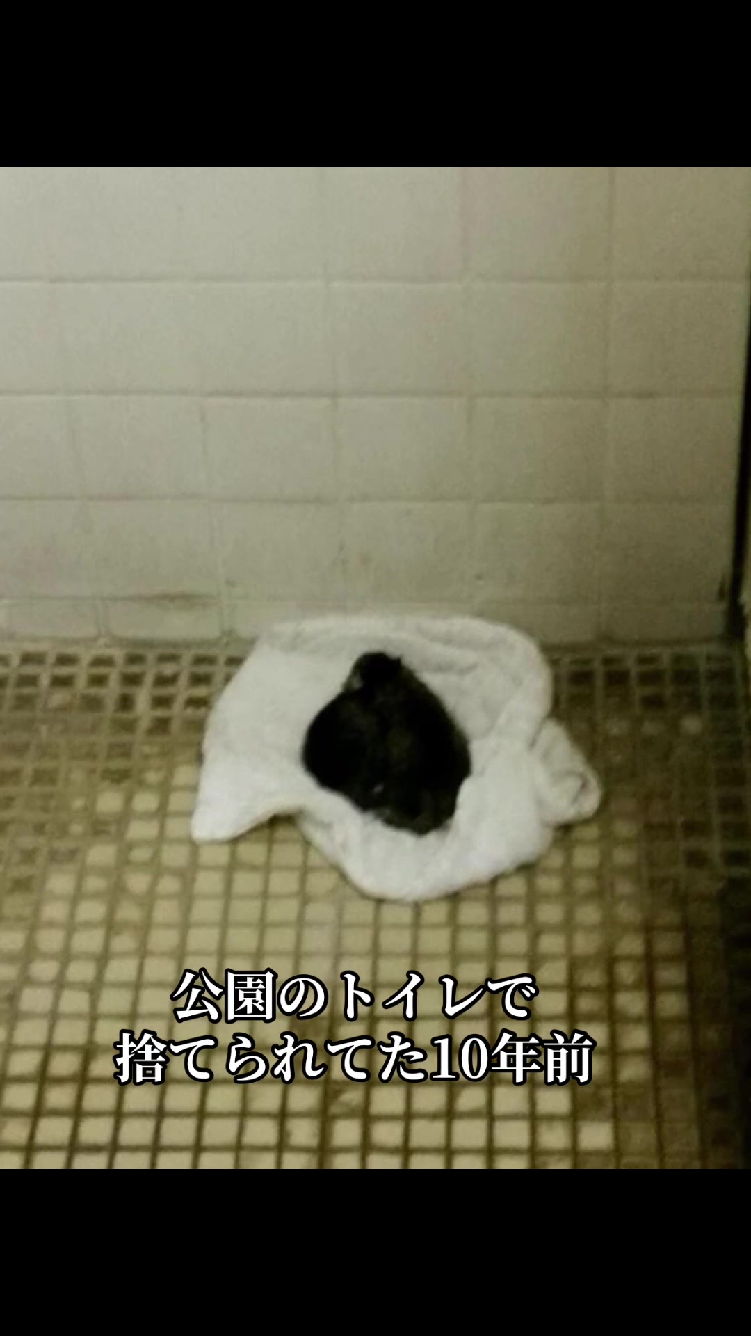 @翠