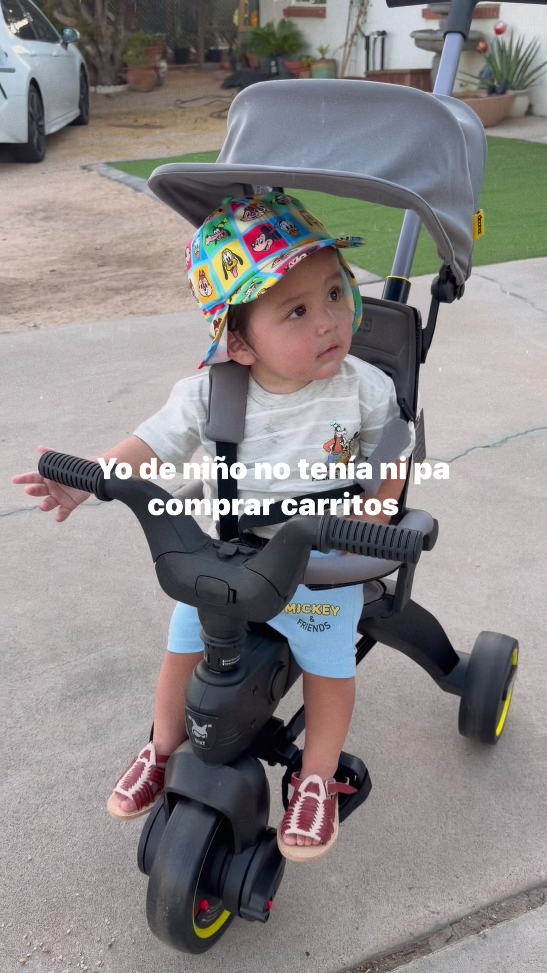 @lisortega