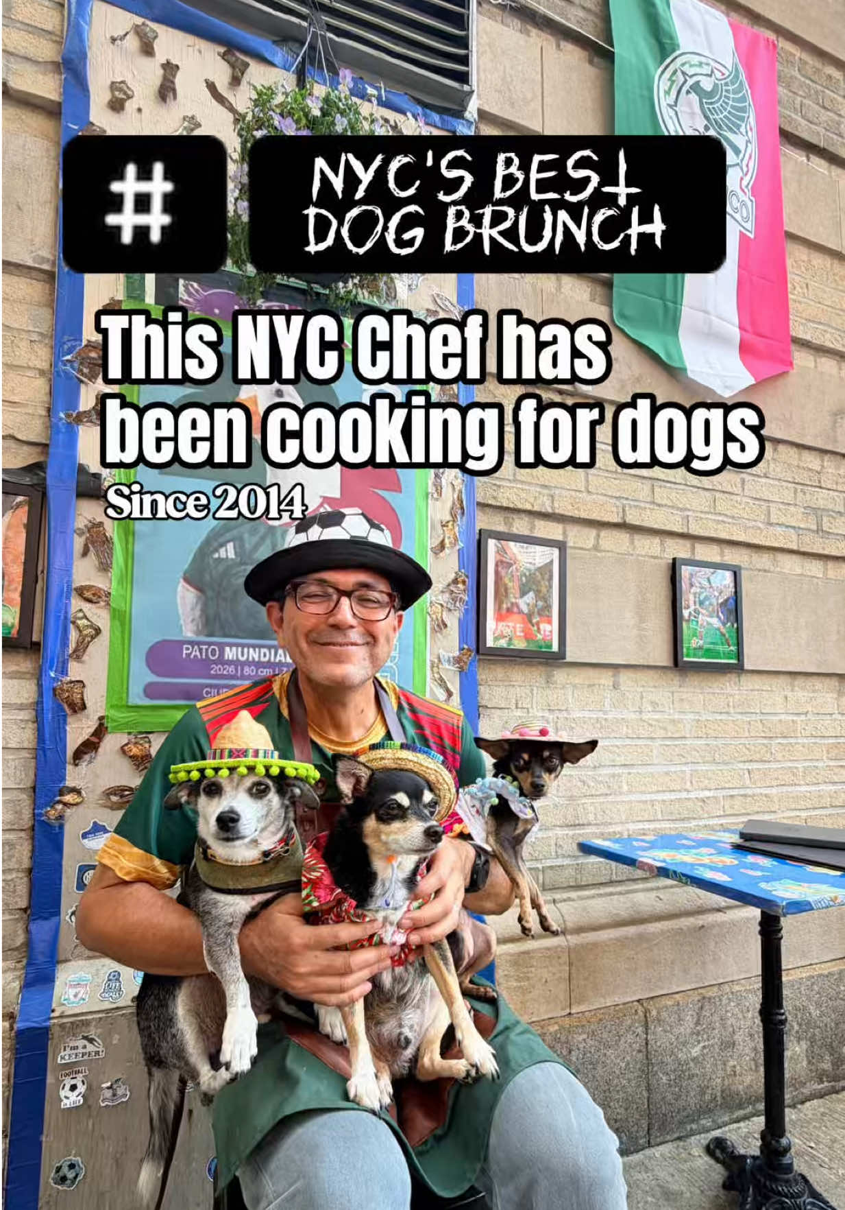 @nycdogadventures