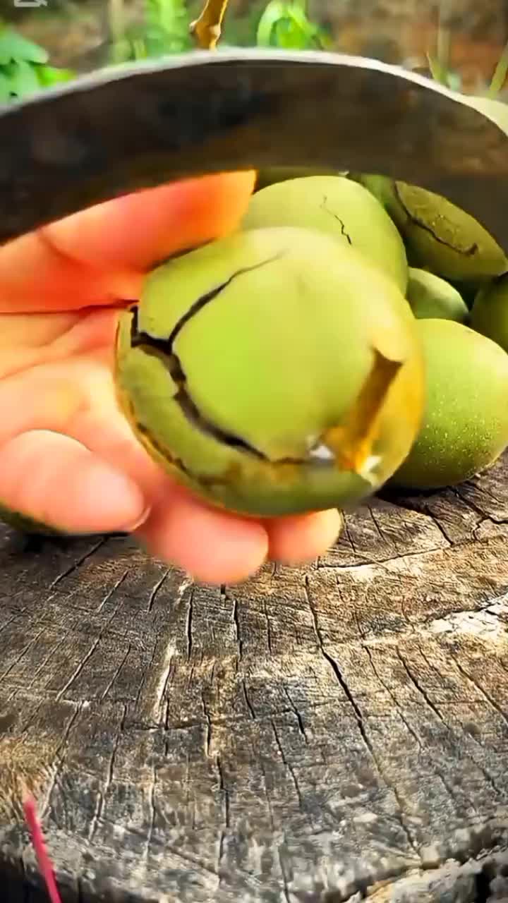 @◉‿◉